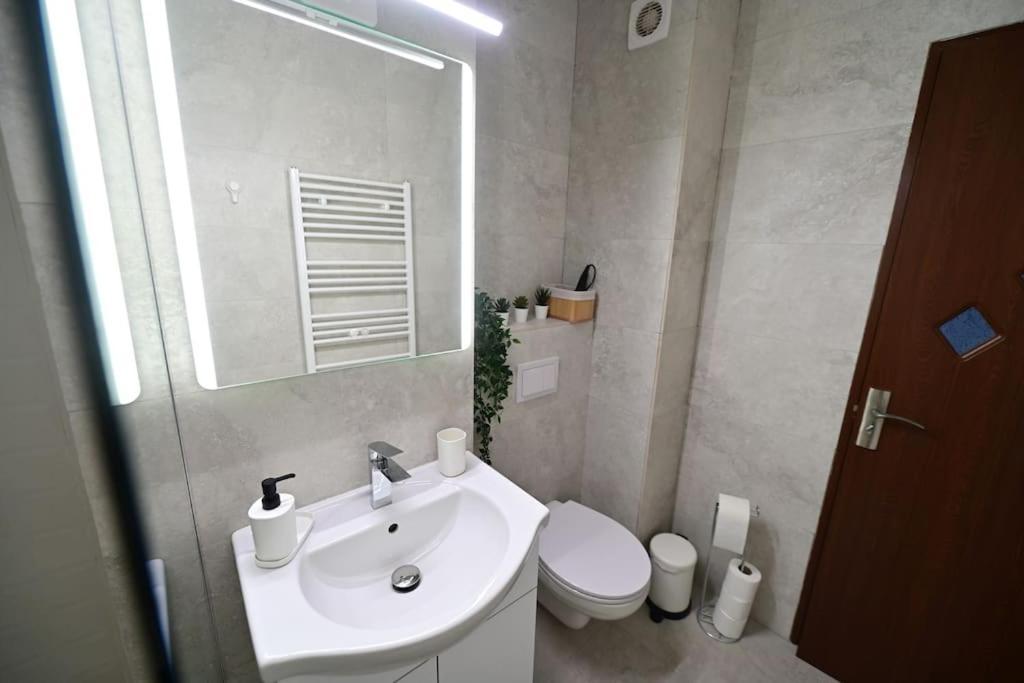 Flh - Apartament Damar Sibiu Esterno foto