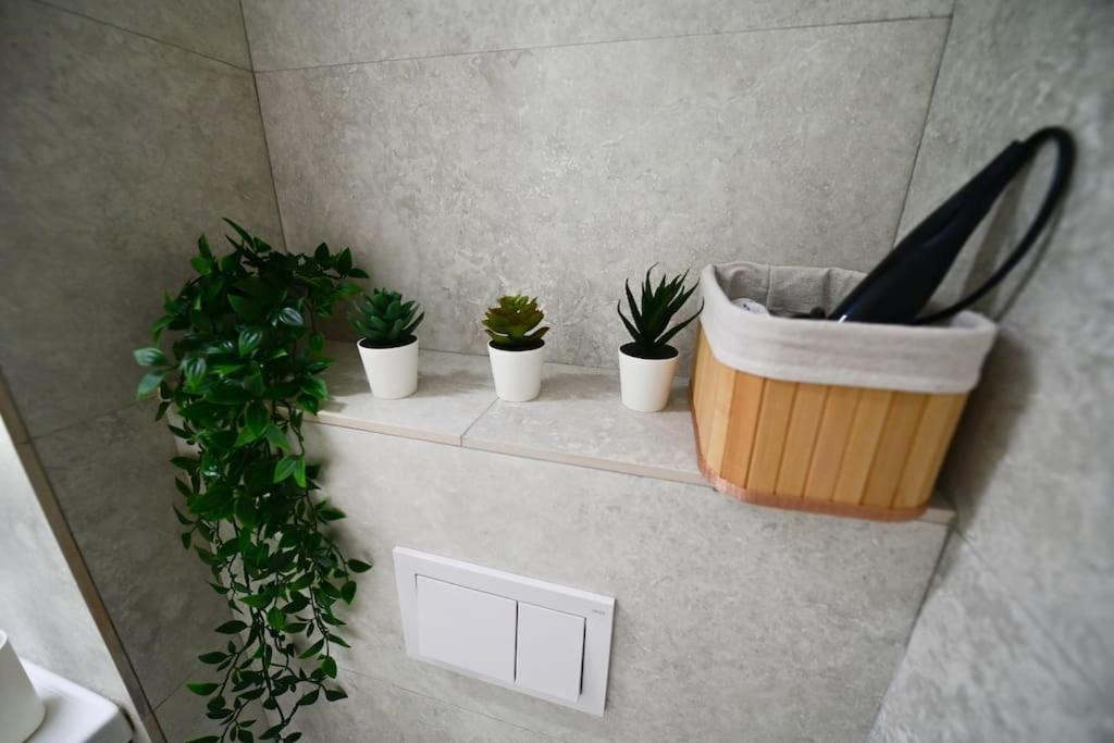 Flh - Apartament Damar Sibiu Esterno foto