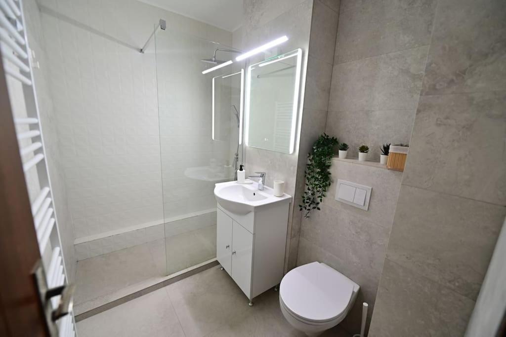 Flh - Apartament Damar Sibiu Esterno foto