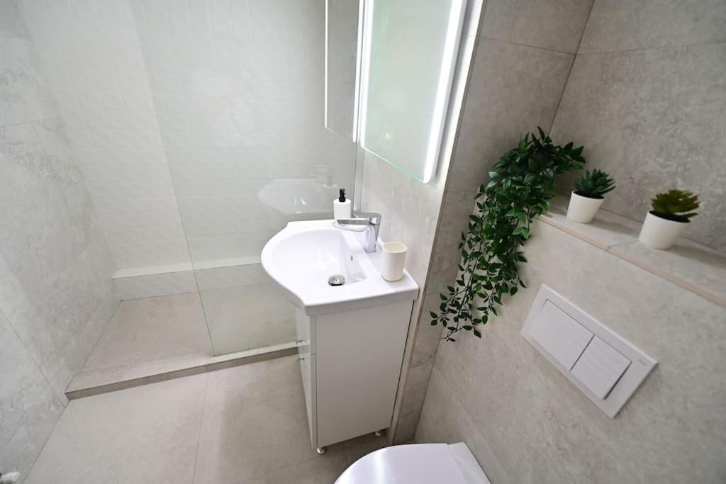 Flh - Apartament Damar Sibiu Esterno foto